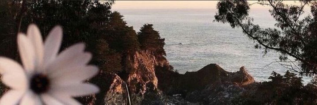 matsuko4136's profile banner image