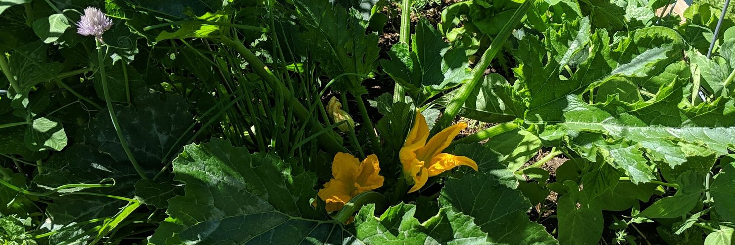 Marcos Boyington 🧢 banner