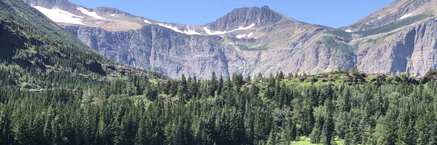 Michael Robinson banner