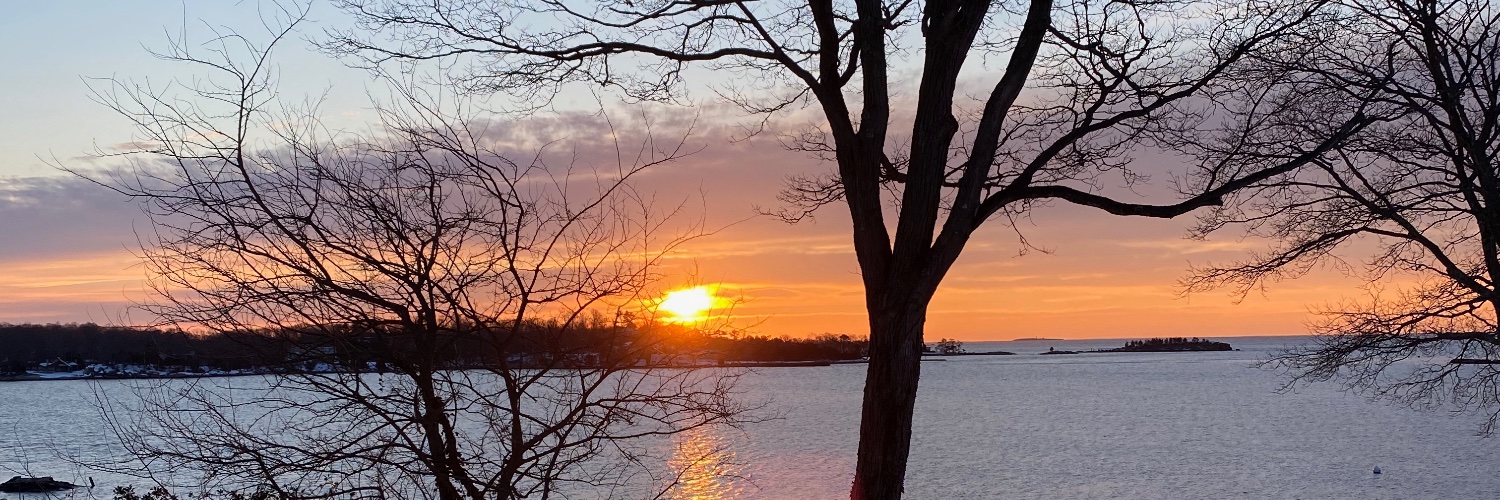 Joan Kelly EDd banner