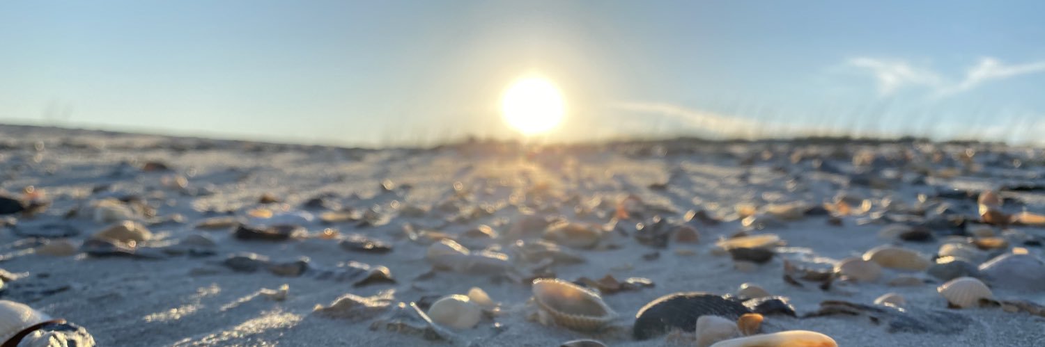 carrollpenny's profile banner image