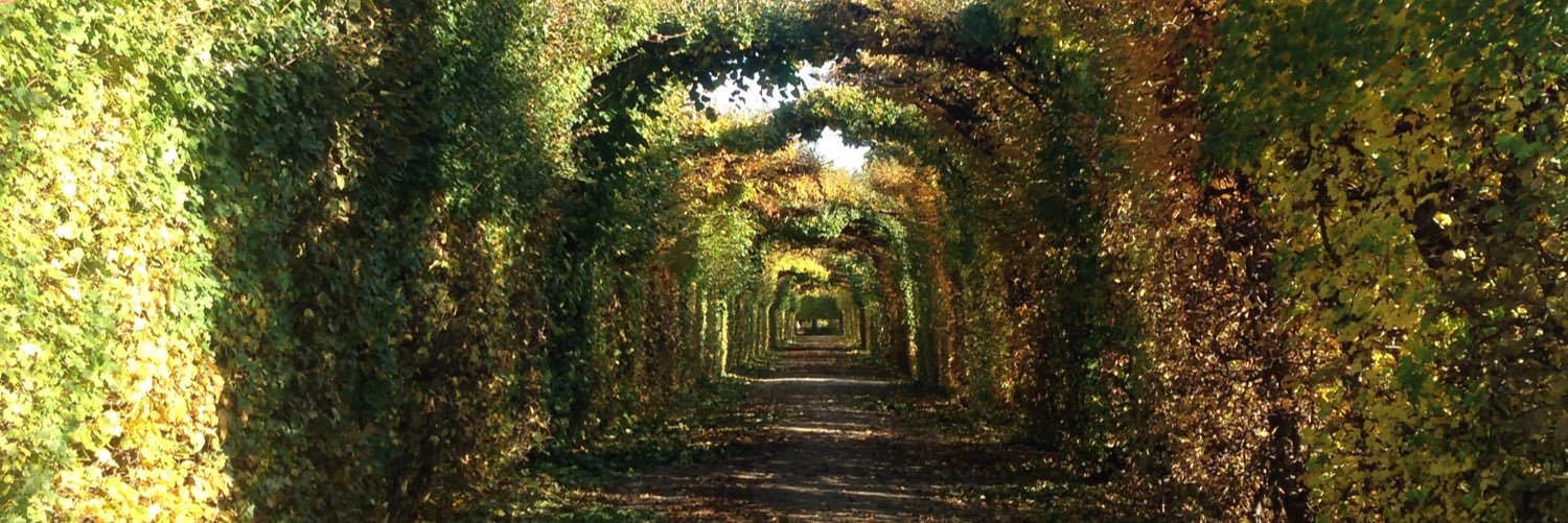 Benjamin Jaegle banner