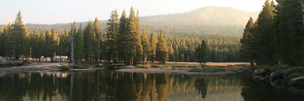 FowleBall15 Profile Banner