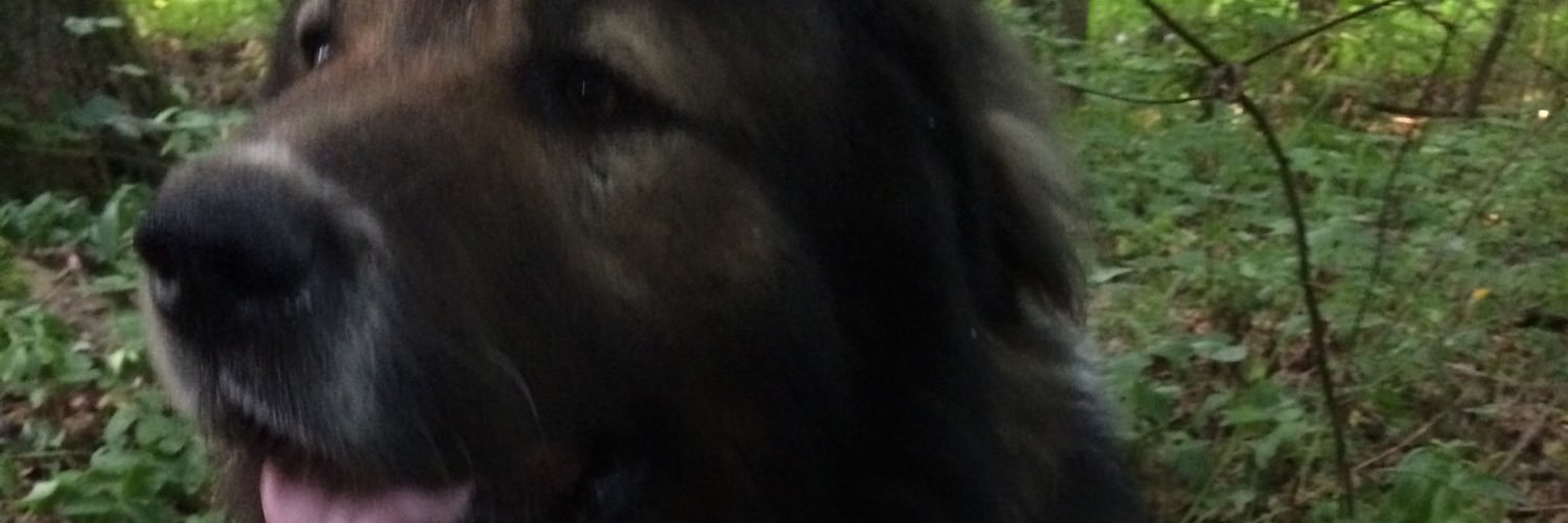 Saddath1er's profile banner image