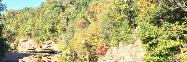 ZJVanWinkle Profile Banner