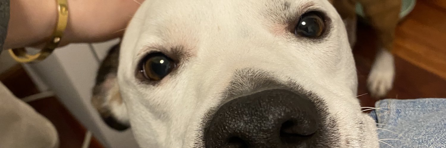 naydobes's profile banner image