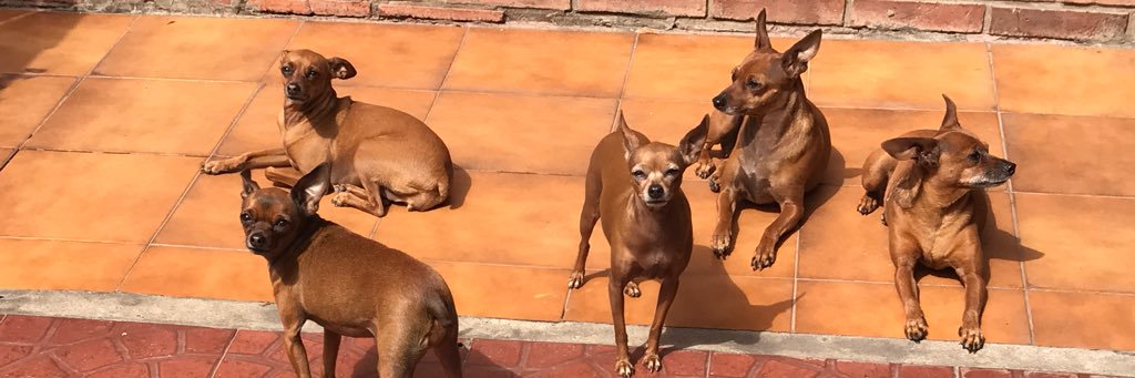 natitafernandez's profile banner image