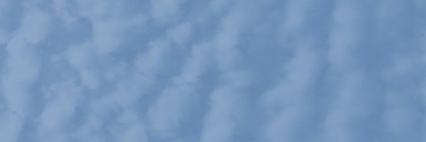 alopezlang Profile Banner