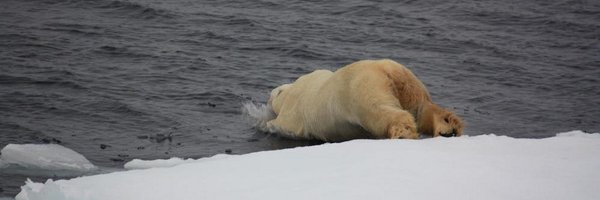 efdarlington Profile Banner