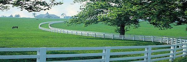 SLAKentucky's profile banner image
