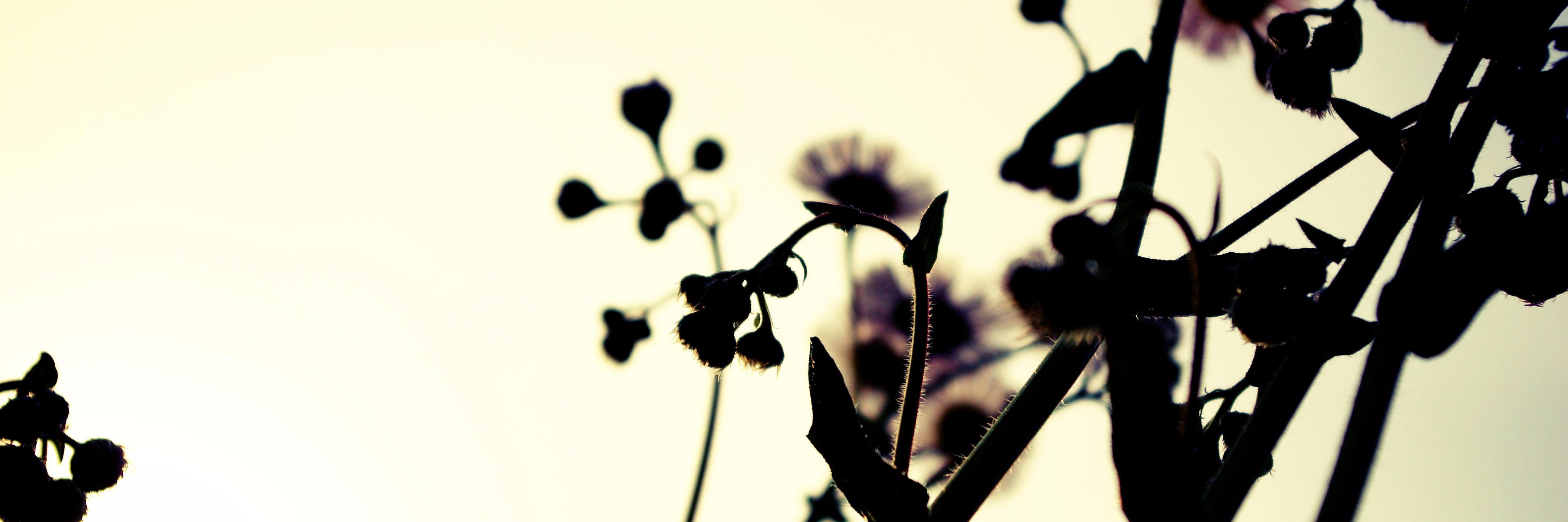radium_minus's profile banner image