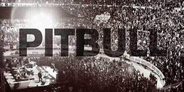 Pitbull fans Ecuador banner