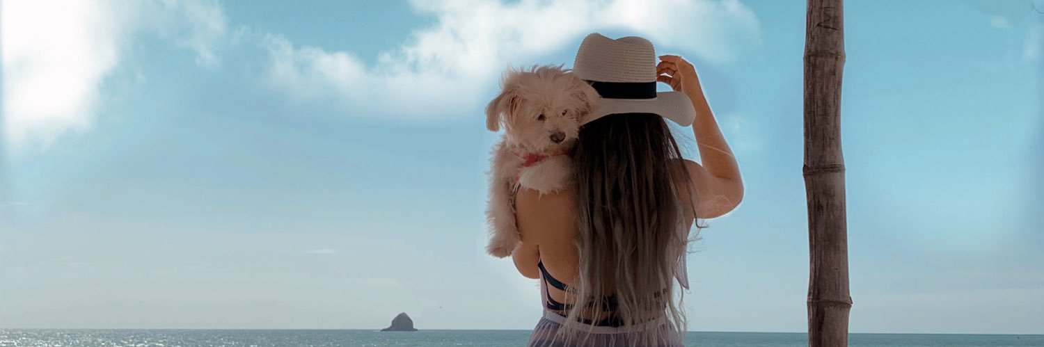 StefanyCoronel1's profile banner image