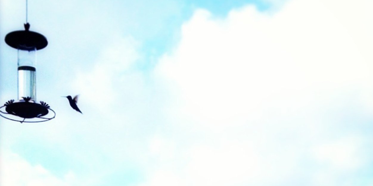 JennaS09's profile banner image