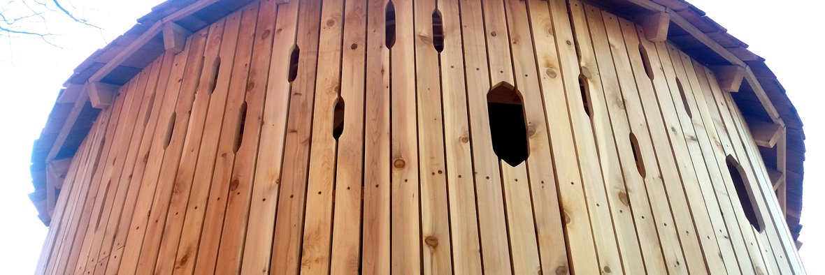 Marcus Rowlands banner