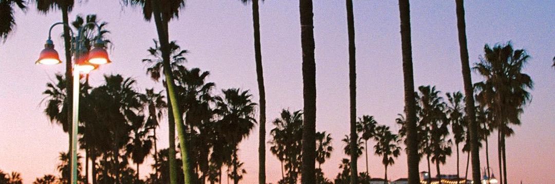 selihrbch's profile banner image