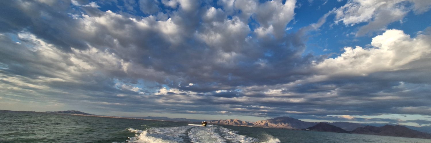 Marina Robles banner