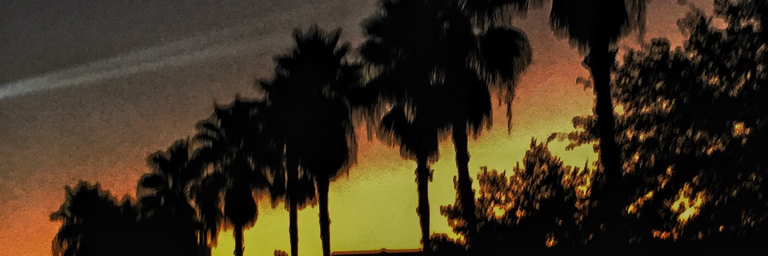 StethoNope's profile banner image
