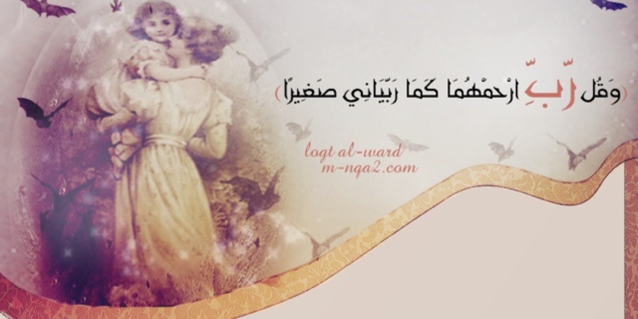 Hms_991's profile banner image
