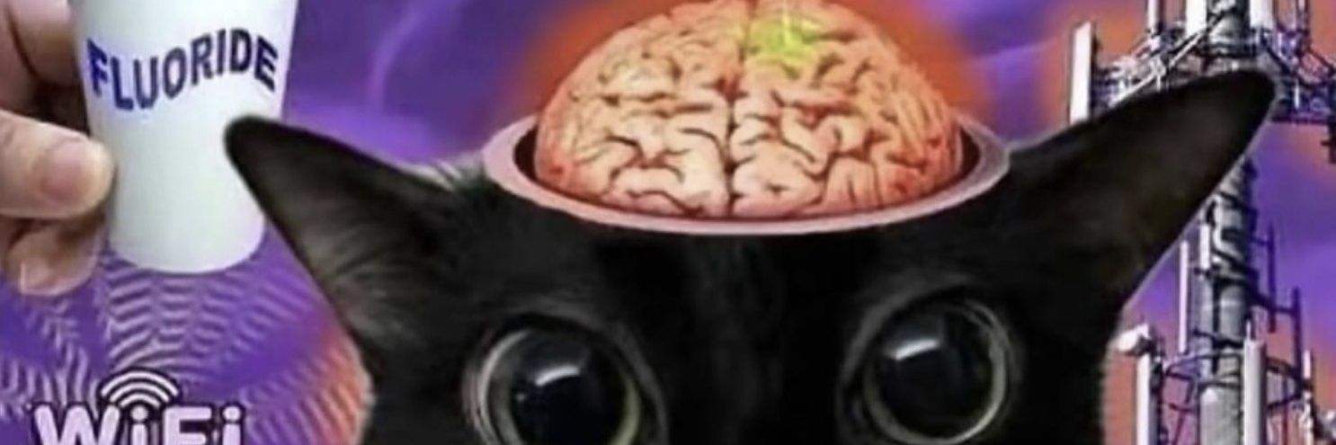 Diabo afrodisíaco 🪲🐚 banner