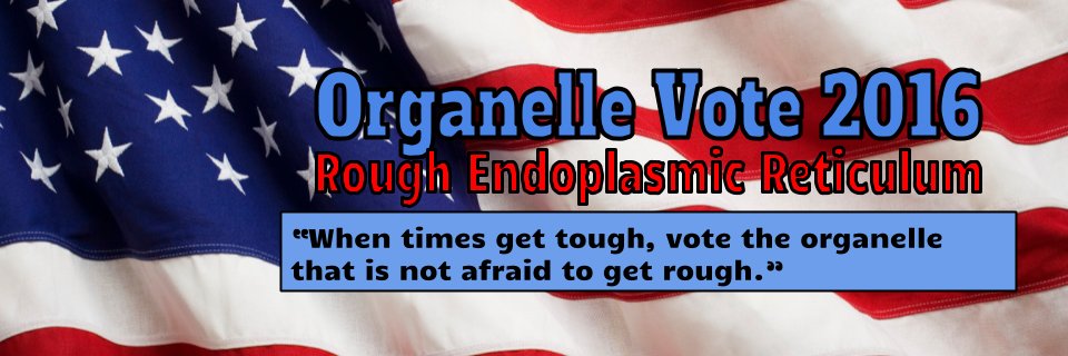 EndoplasmicRe12's profile banner image