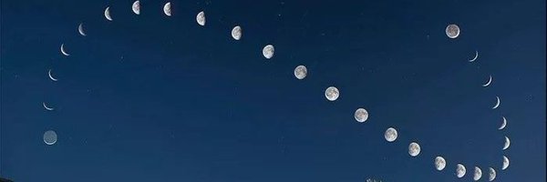 jonatasgrosman Profile Banner