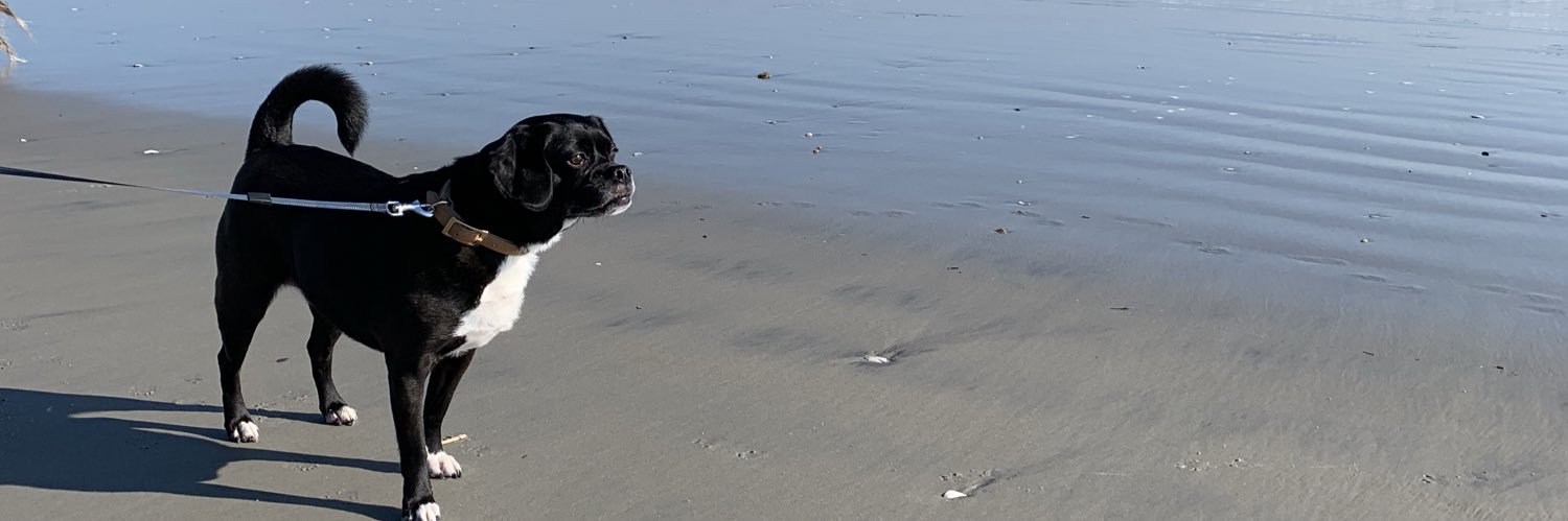 brittchiggins's profile banner image