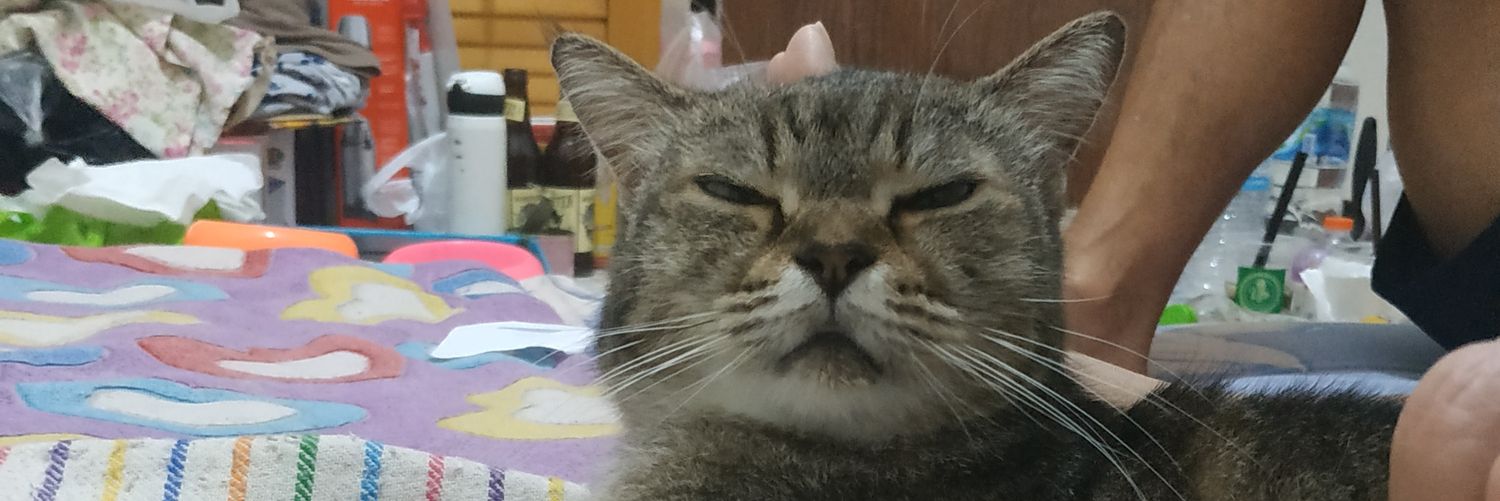 Degalti's profile banner image