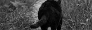 saka_046's profile banner image