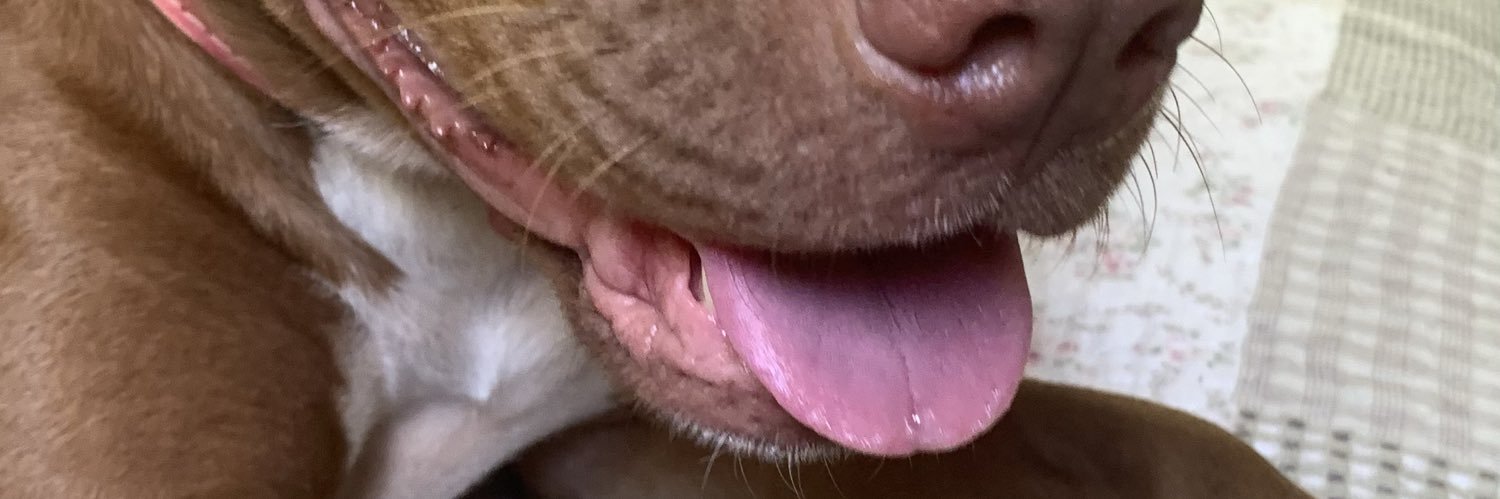 BeaSilva000's profile banner image