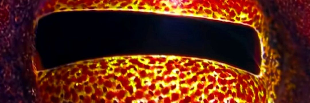 Jacks lack of surprise... banner