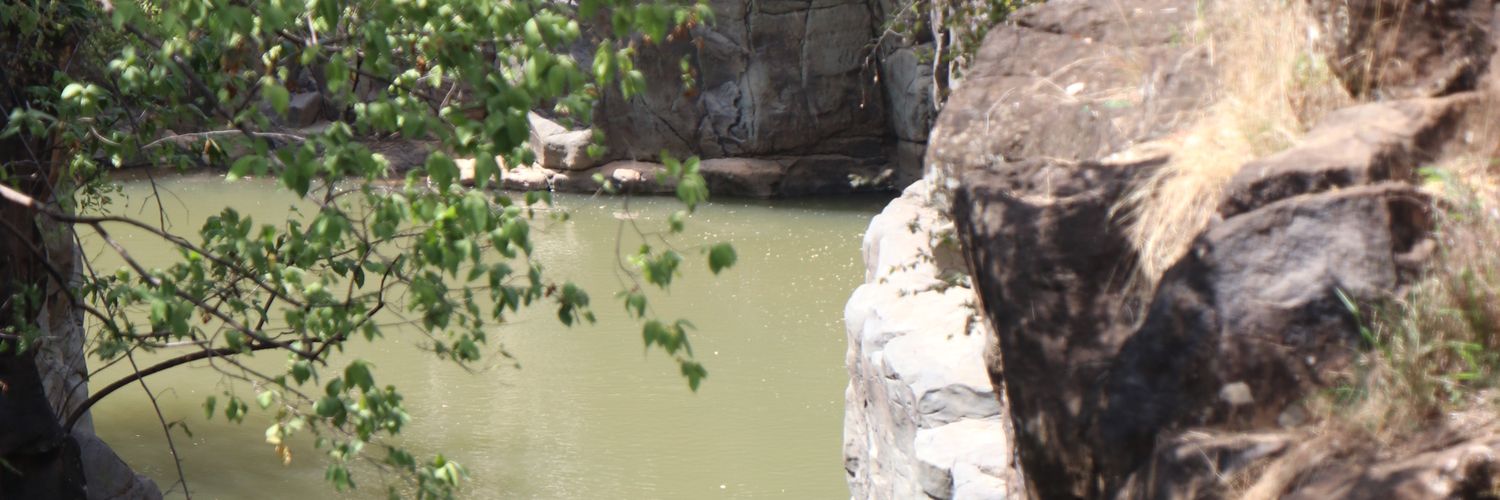 RONNYKOECH's profile banner image