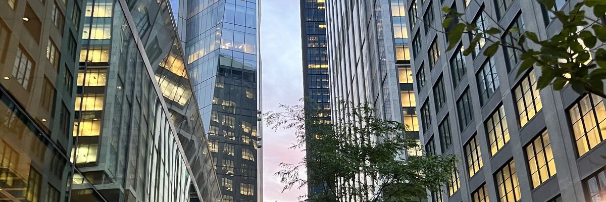 Leo ᝰ banner