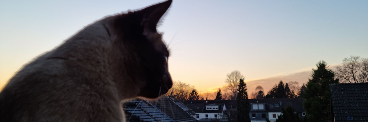 MeganThePhoenix's profile banner image