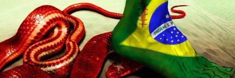 BrasilForever74's profile banner image