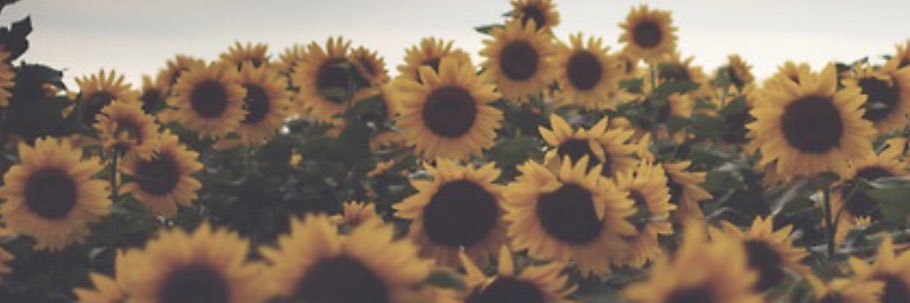 Adrianageronim's profile banner image