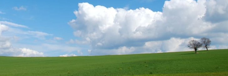 Anna McIntosh banner