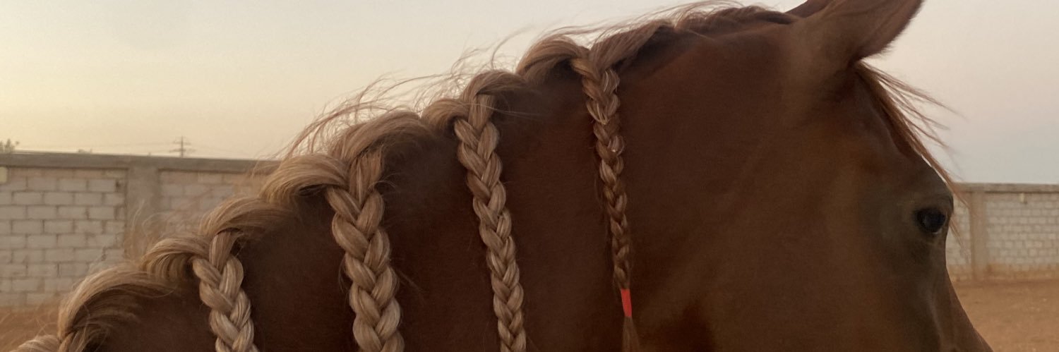 I_Dana23's profile banner image
