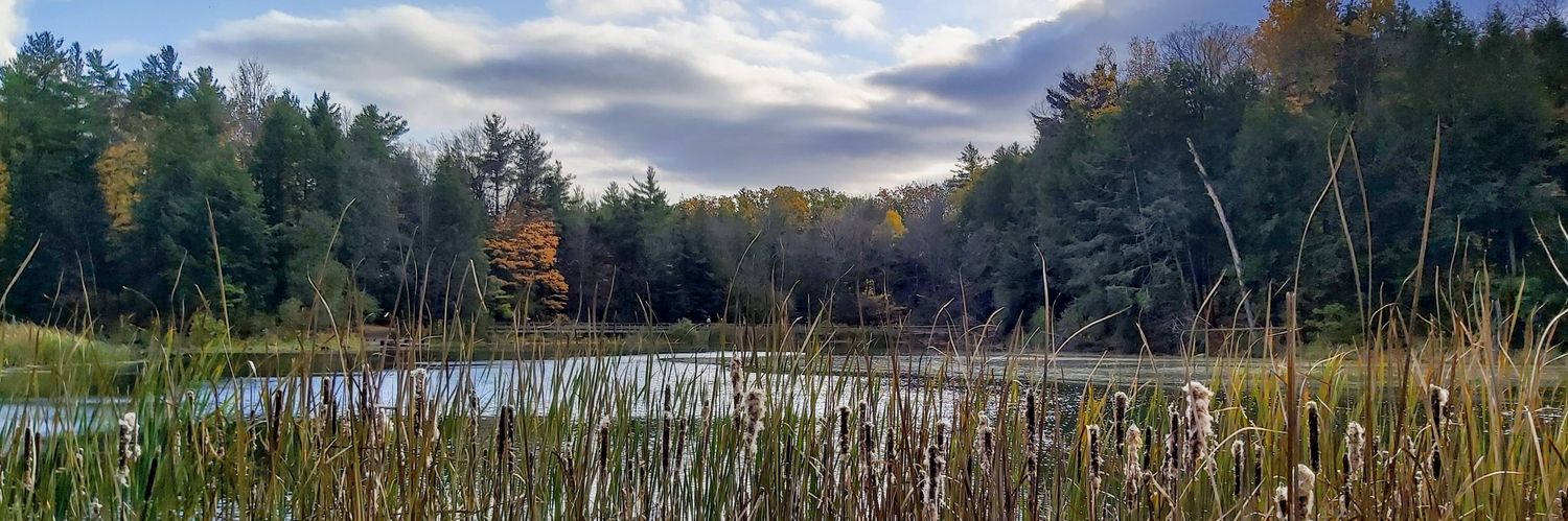 Melissa Jonker banner