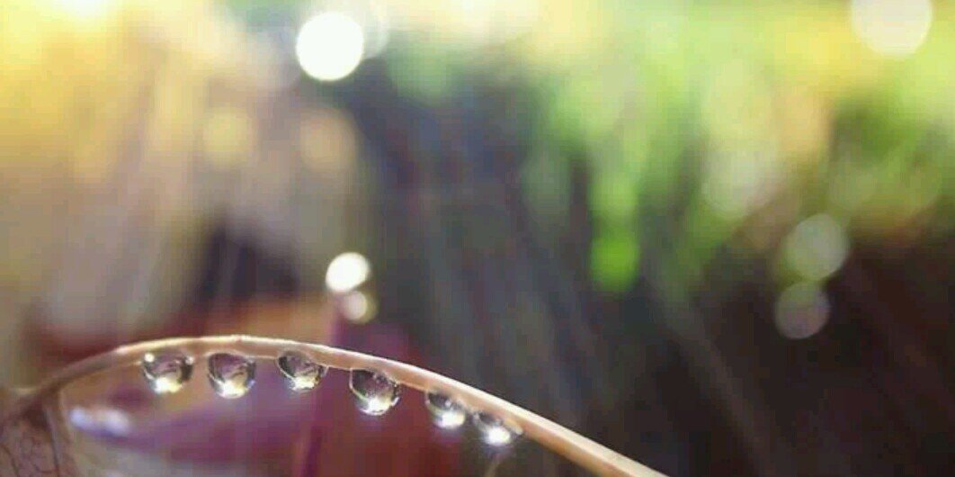 Lmy_Ely's profile banner image