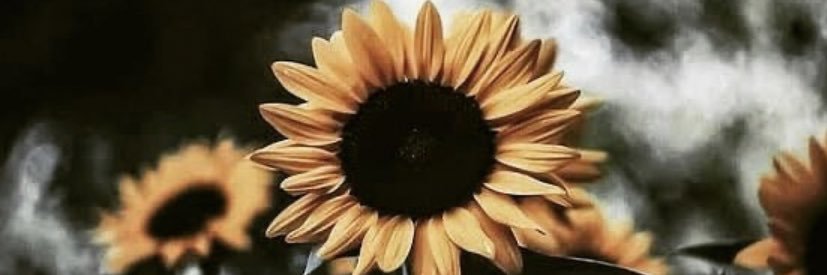 OrayaPloy's profile banner image