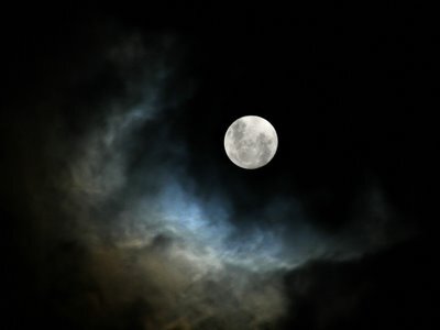 MelG_Styles's profile banner image