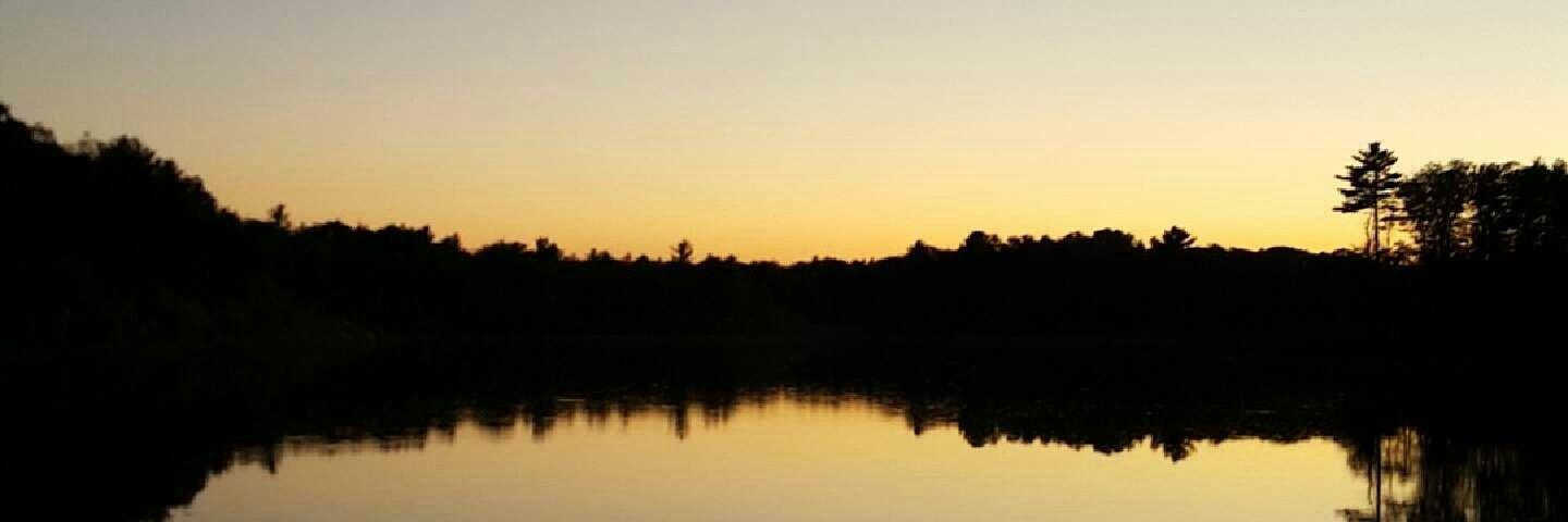 nSarruda's profile banner image