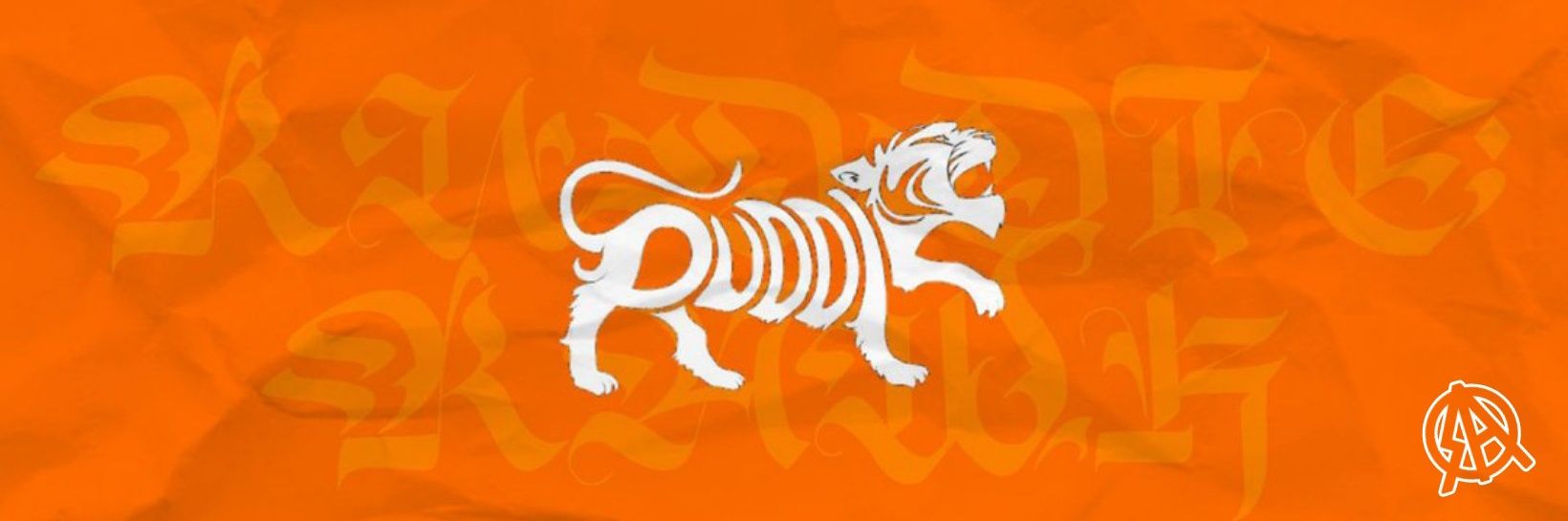 ruddierawk's profile banner image
