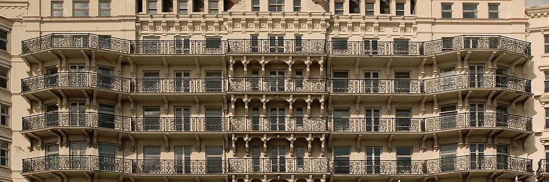 brightonvegans banner