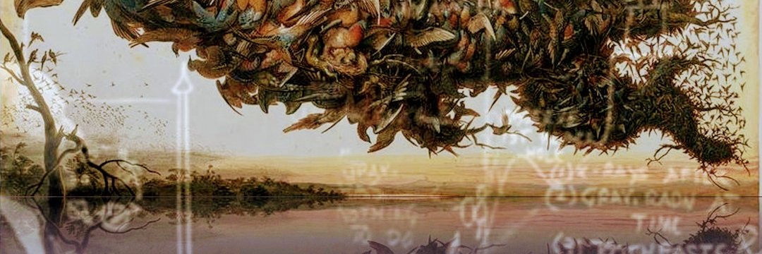 Jessica Flack banner