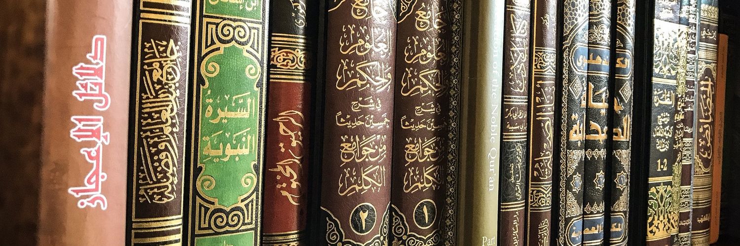 SiblingsOfIlm's banner