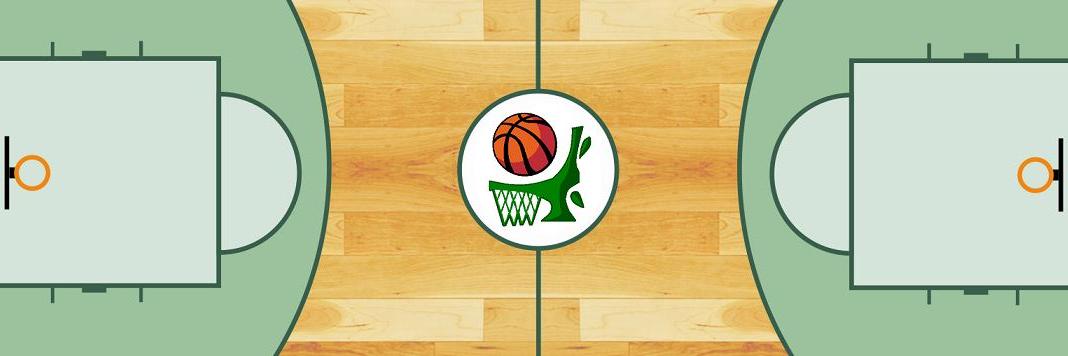 Basket Los Olivos banner