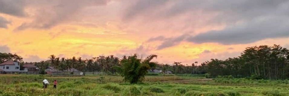 wiryadiharja's profile banner image
