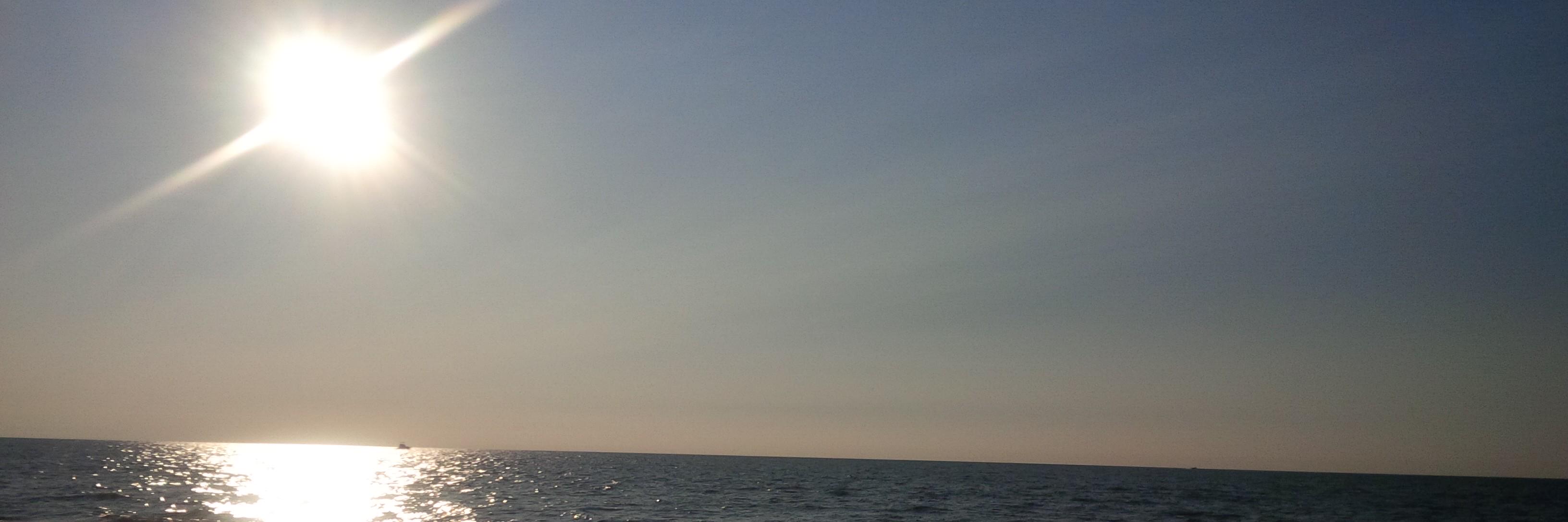 gottajavit's profile banner image